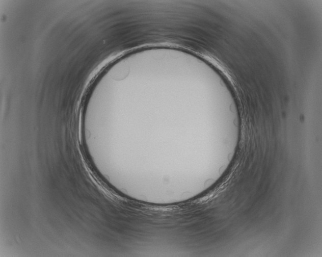 X0000081631127200702121658