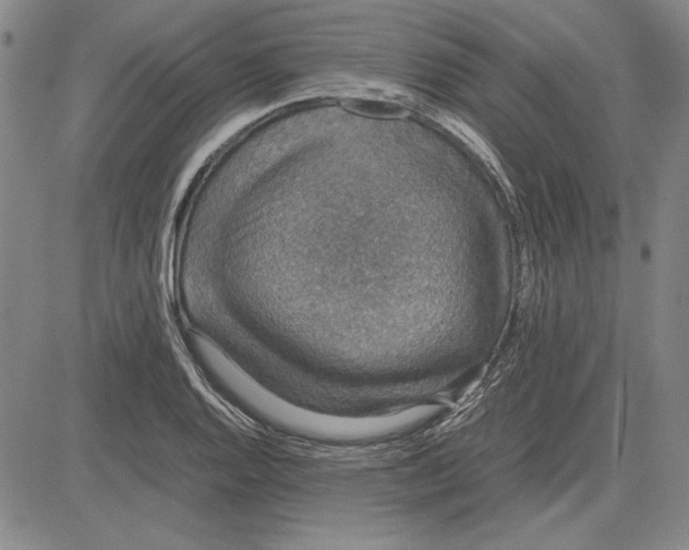 X0000081631128200702121658