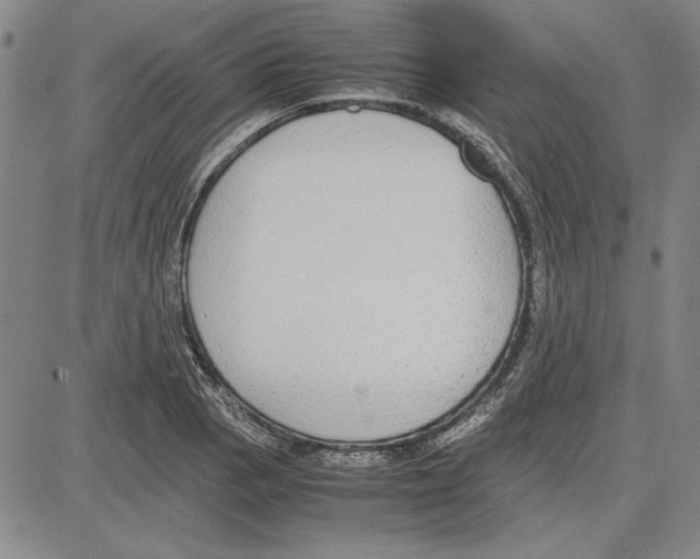 X0000081631129200702121658