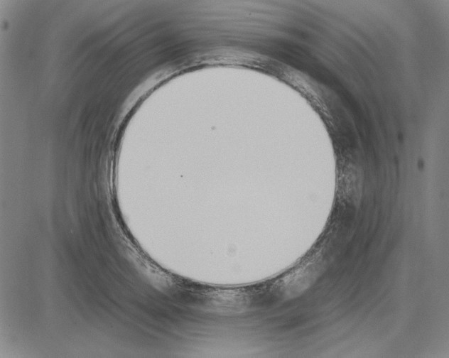 X0000081631130200702121658