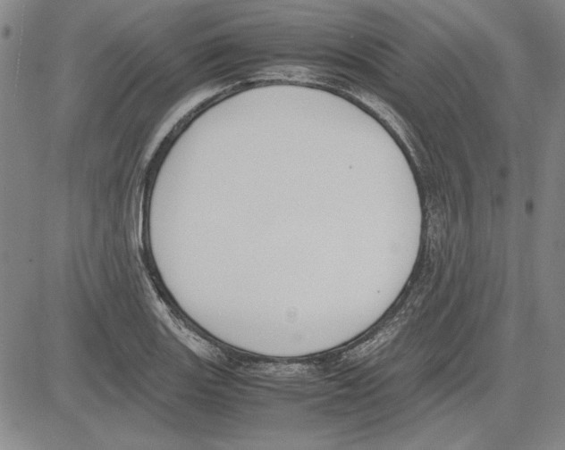 X0000081631131200702121658