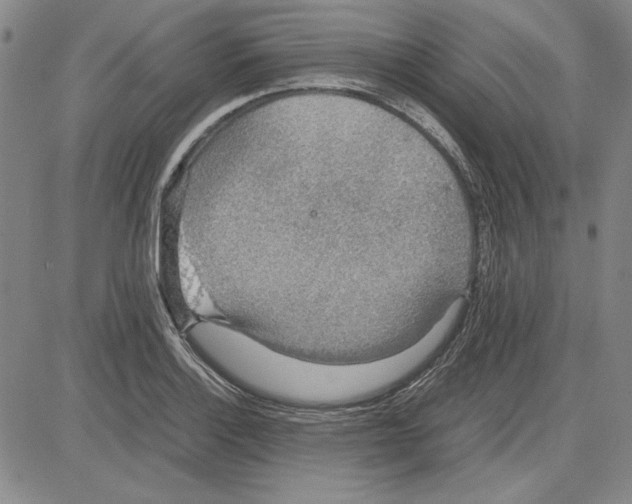 X0000081631132200702121658