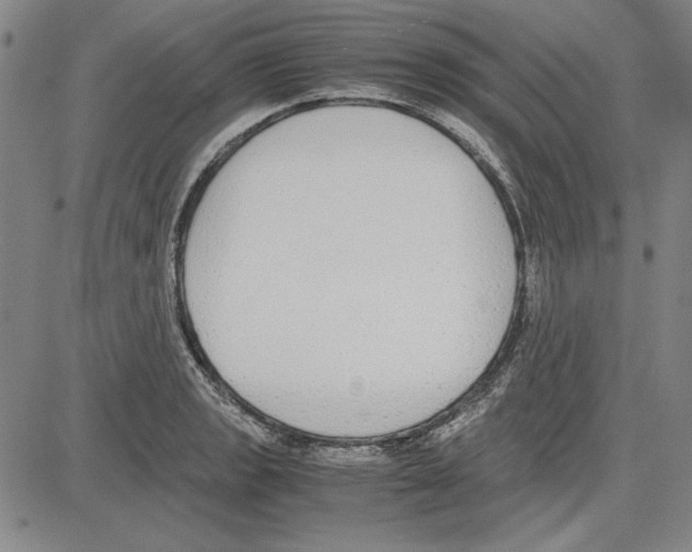 X0000081631133200702121658