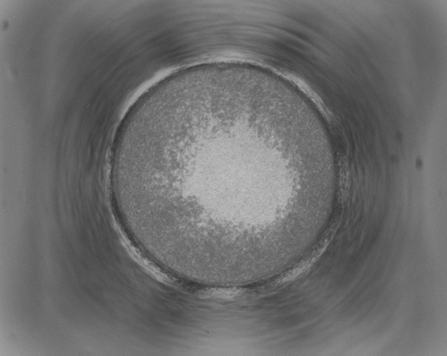 X0000081631134200702121658