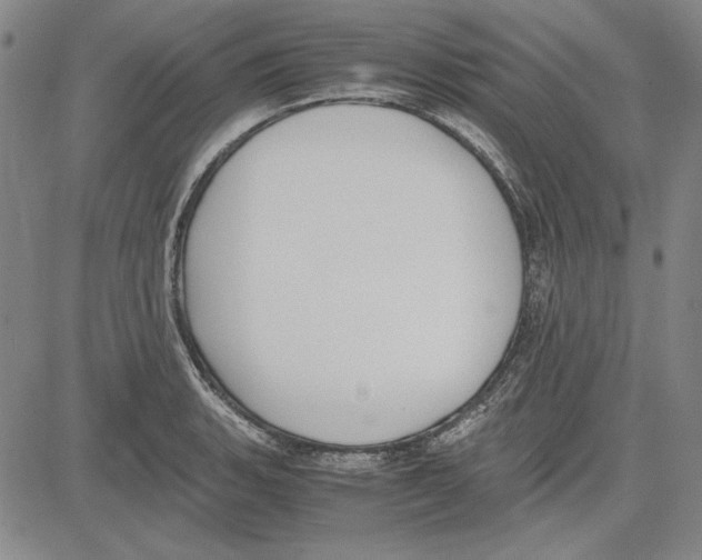 X0000081631135200702121658