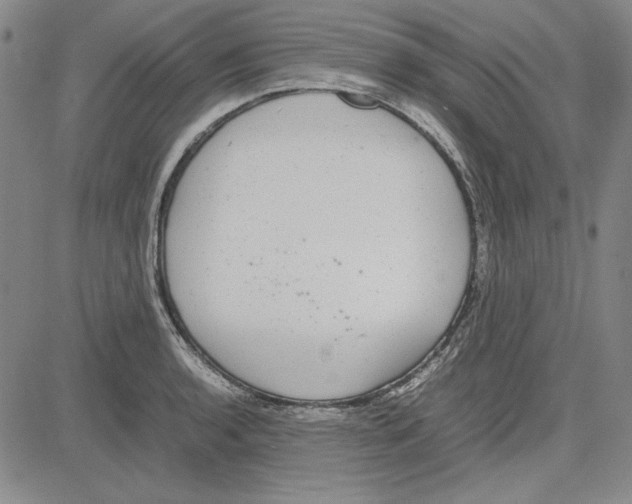 X0000081631136200702121658