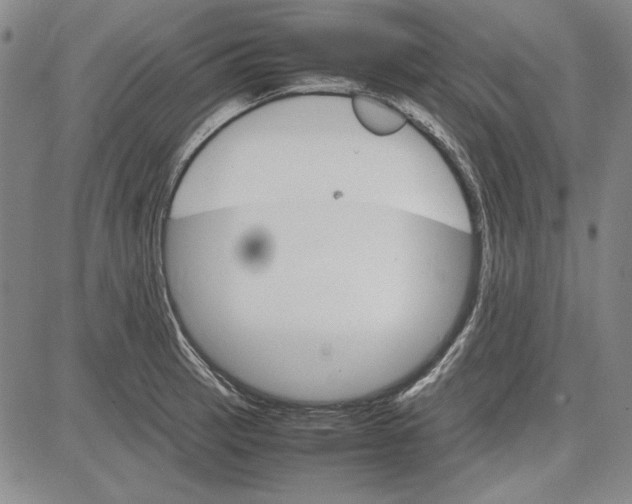 X0000081631137200702121658