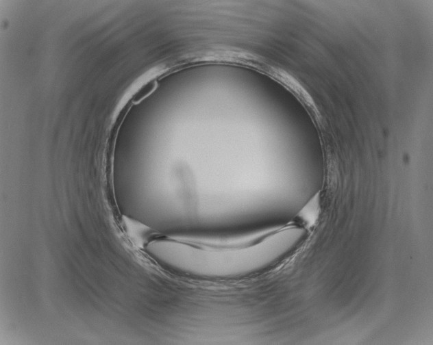 X0000081631138200702121658