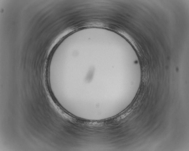 X0000081631139200702121658