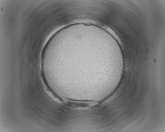 X0000081631140200702121658