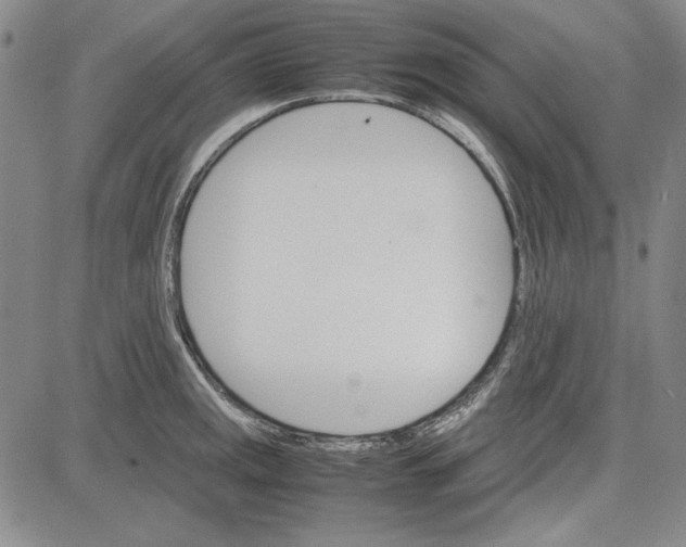 X0000081631141200702121658