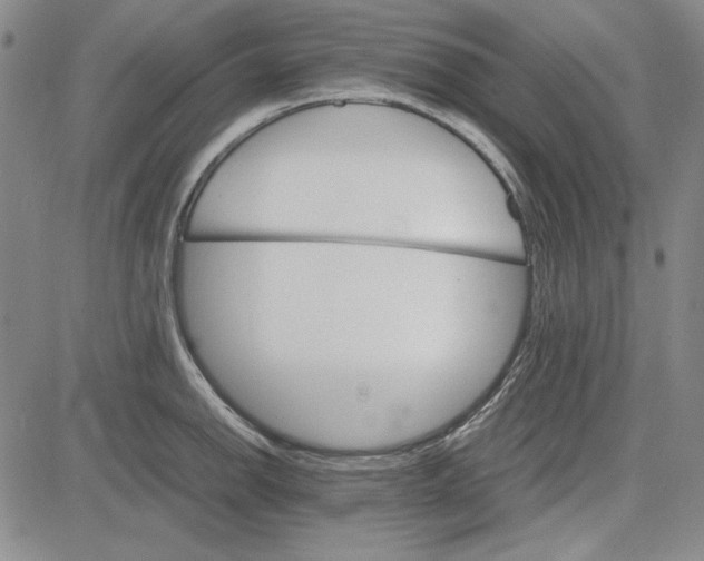 X0000081631142200702121658