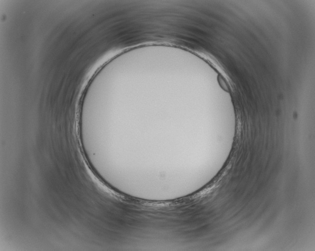 X0000081631143200702121658