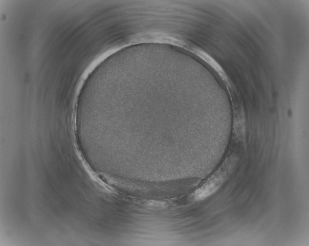 X0000081631144200702121658