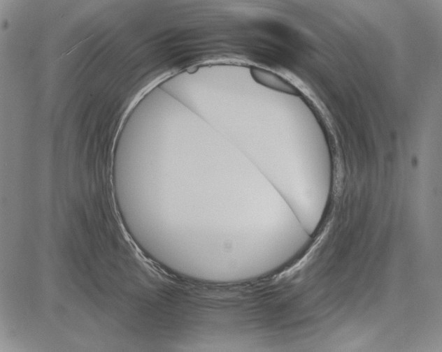 X0000081631145200702121658