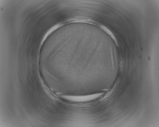 X0000081631146200702121658