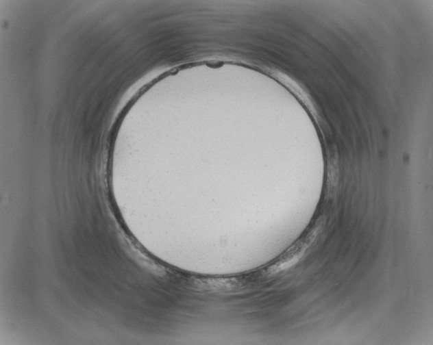 X0000081631149200702121658