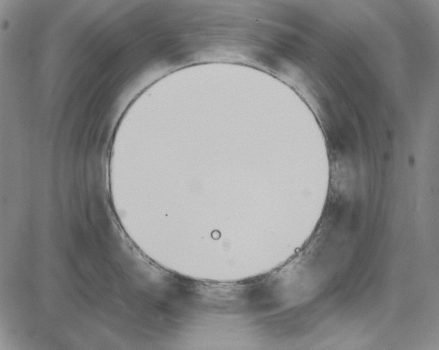 X0000081631150200702121658