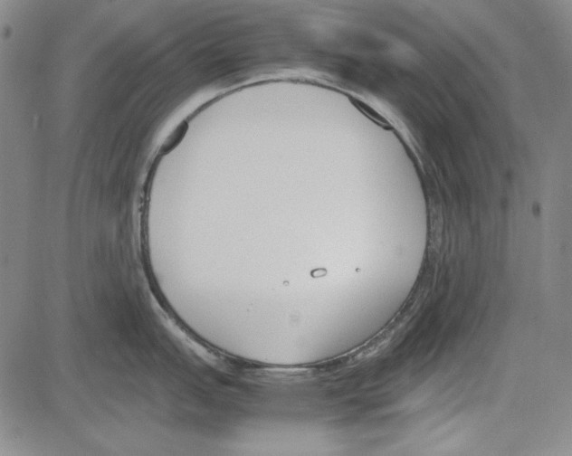 X0000081631151200702121658