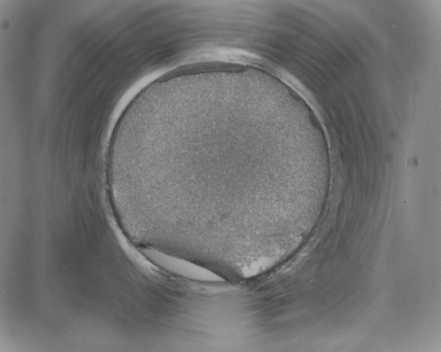 X0000081631152200702121658