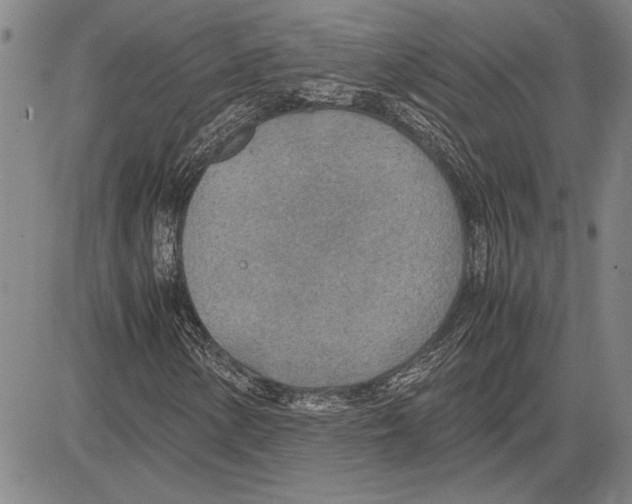 X0000081631154200702121657