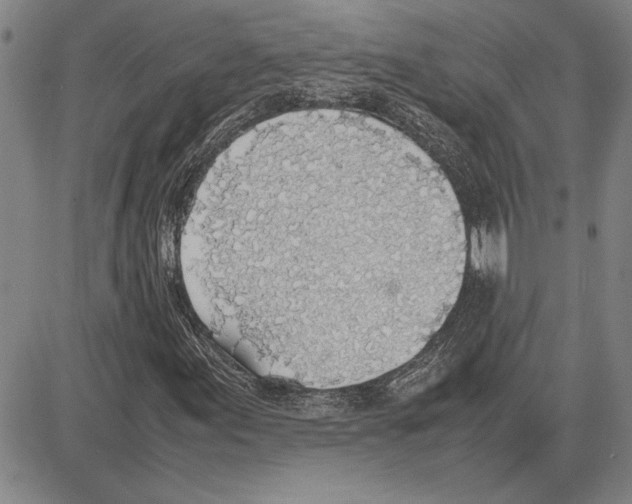 X0000081631155200702121657