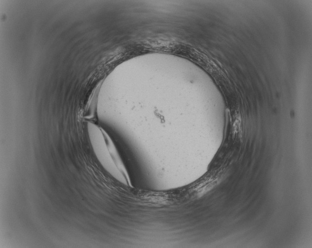 X0000081631156200702121657