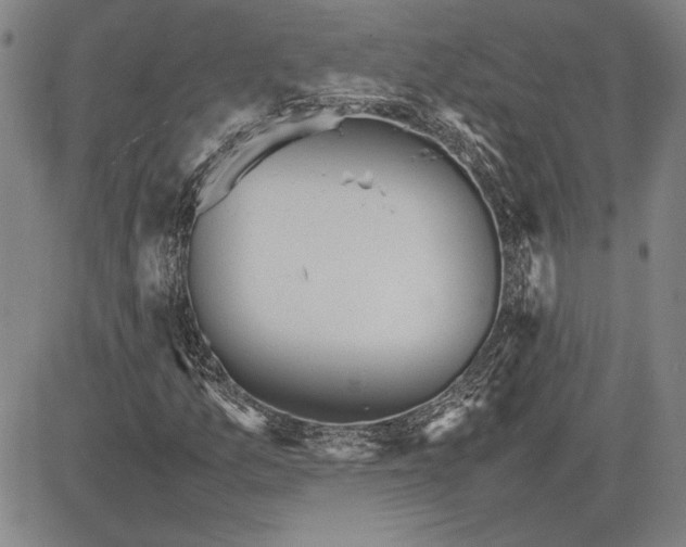 X0000081631157200702121657