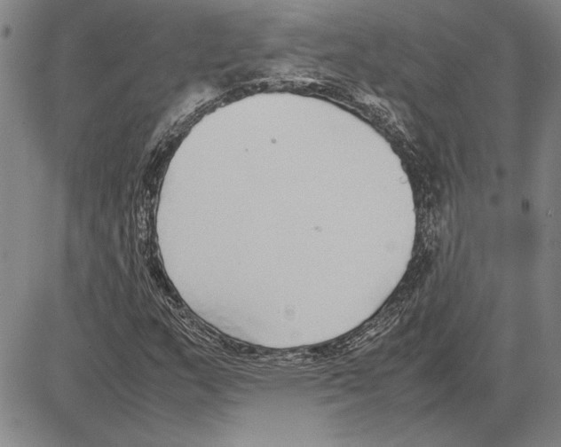 X0000081631159200702121657