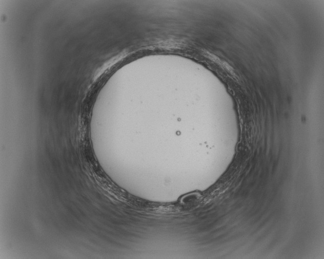 X0000081631160200702121657