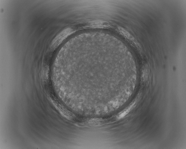 X0000081631161200702121657