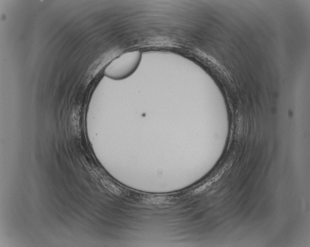 X0000081631162200702121657