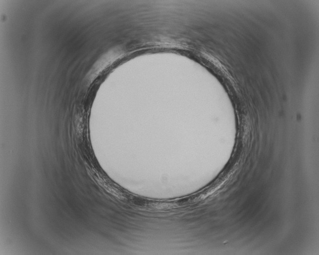 X0000081631163200702121657