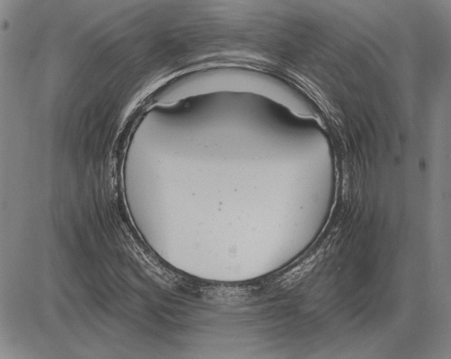 X0000081631164200702121657