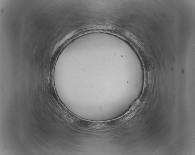 X0000081631165200702121657