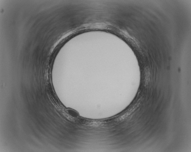 X0000081631166200702121657