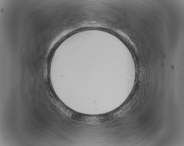 X0000081631167200702121657