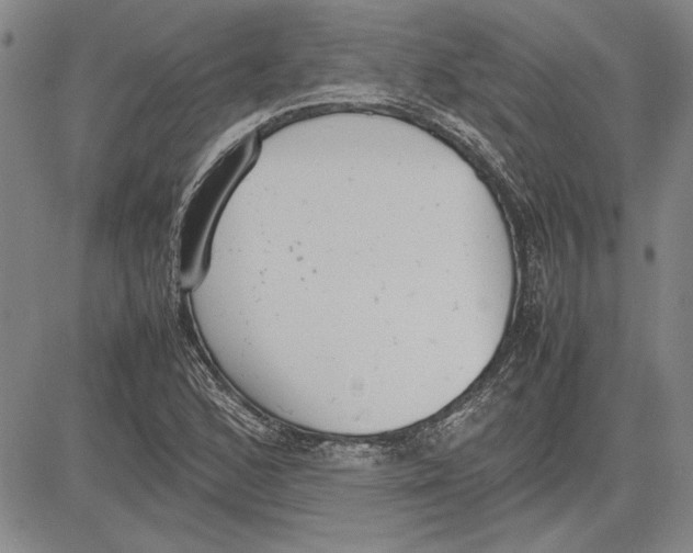 X0000081631168200702121657