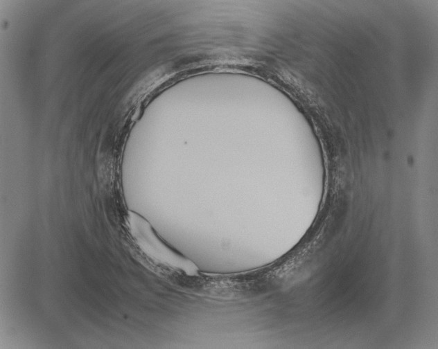 X0000081631169200702121657