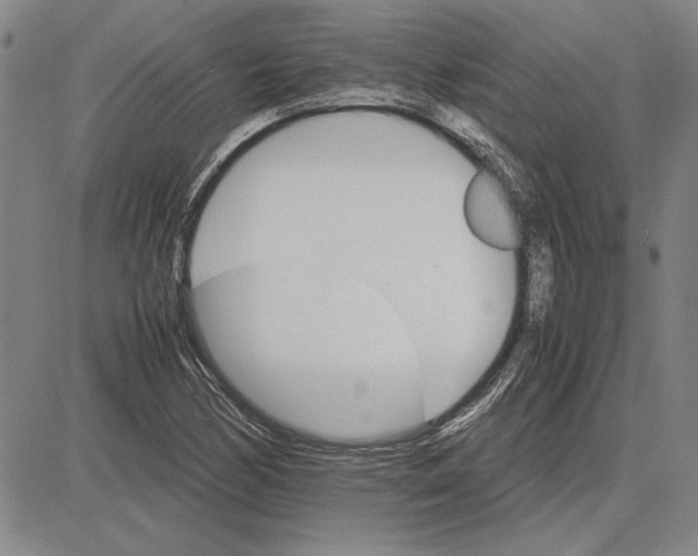 X0000081631170200702121657