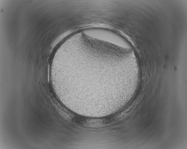 X0000081631171200702121657