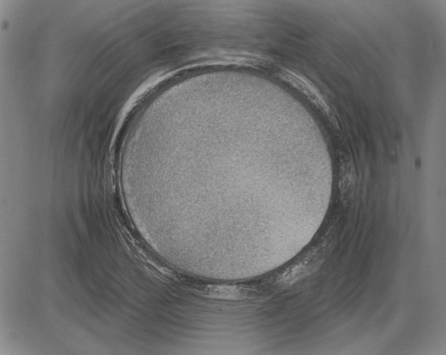 X0000081631172200702121657