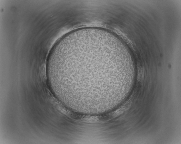 X0000081631174200702121657