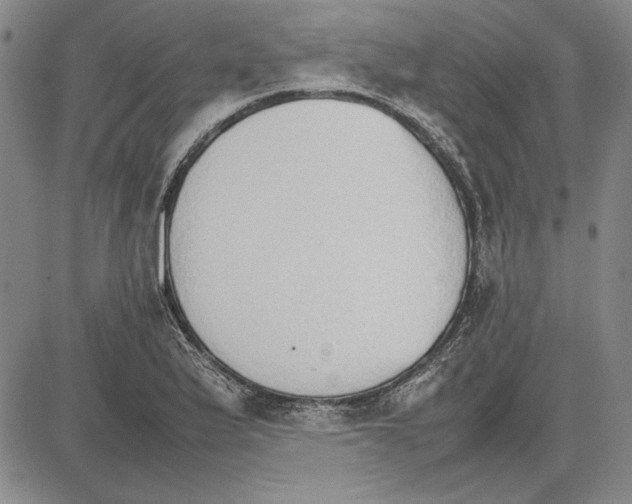 X0000081631175200702121657