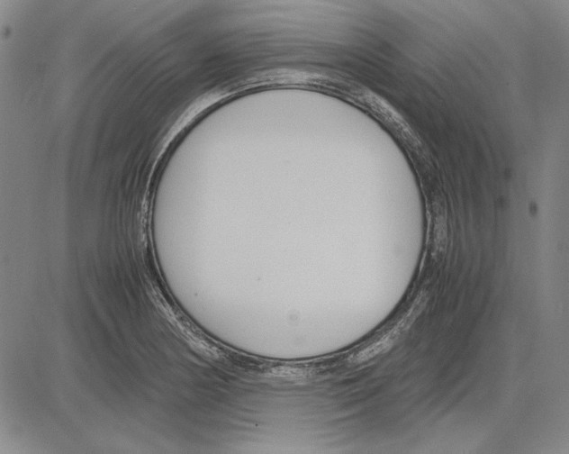 X0000081631178200702121657