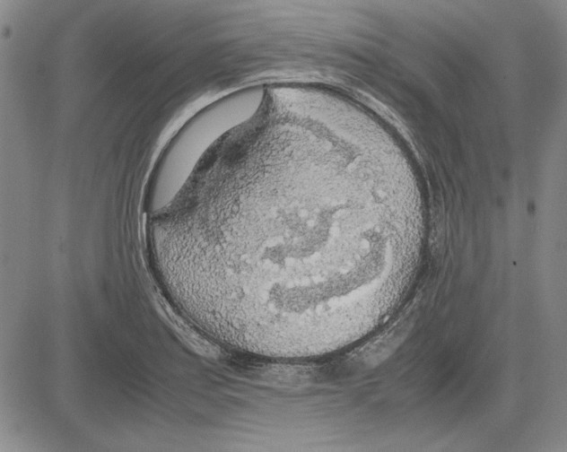 X0000081631179200702121657