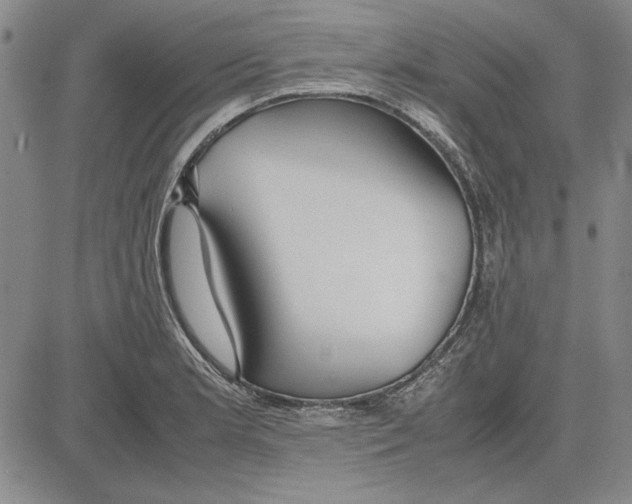 X0000081631181200702121657