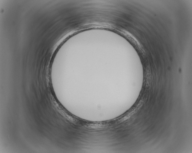 X0000081631182200702121657