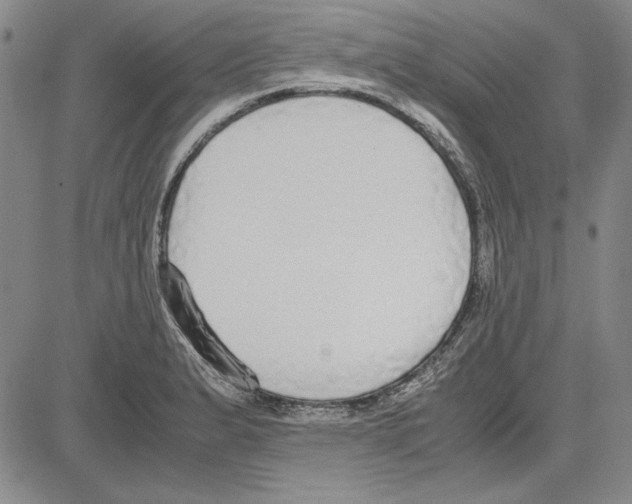 X0000081631183200702121657