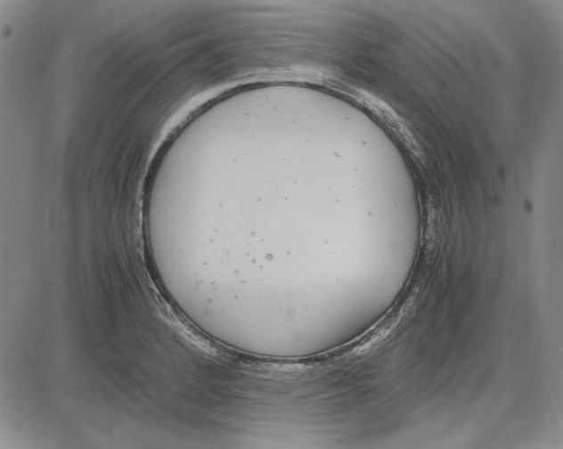 X0000081631184200702121657